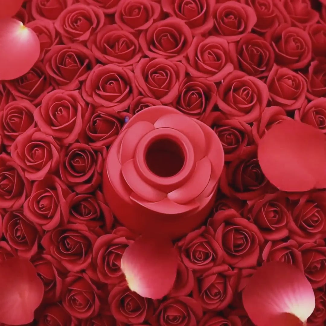 Succhia clitoride a forma di rosa con lingua Rosita · video