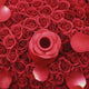 Succhia clitoride a forma di rosa con lingua Rosita · video
