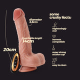 Infografica sul Vibratore Realistico Inviktus con Telecomando Crushious